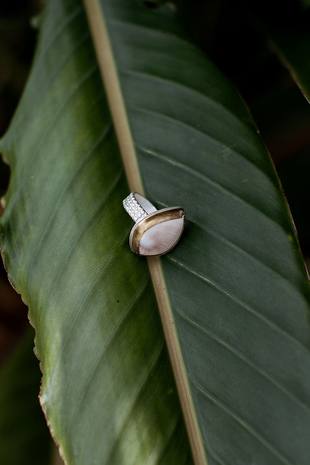 Beach Drifter Ring