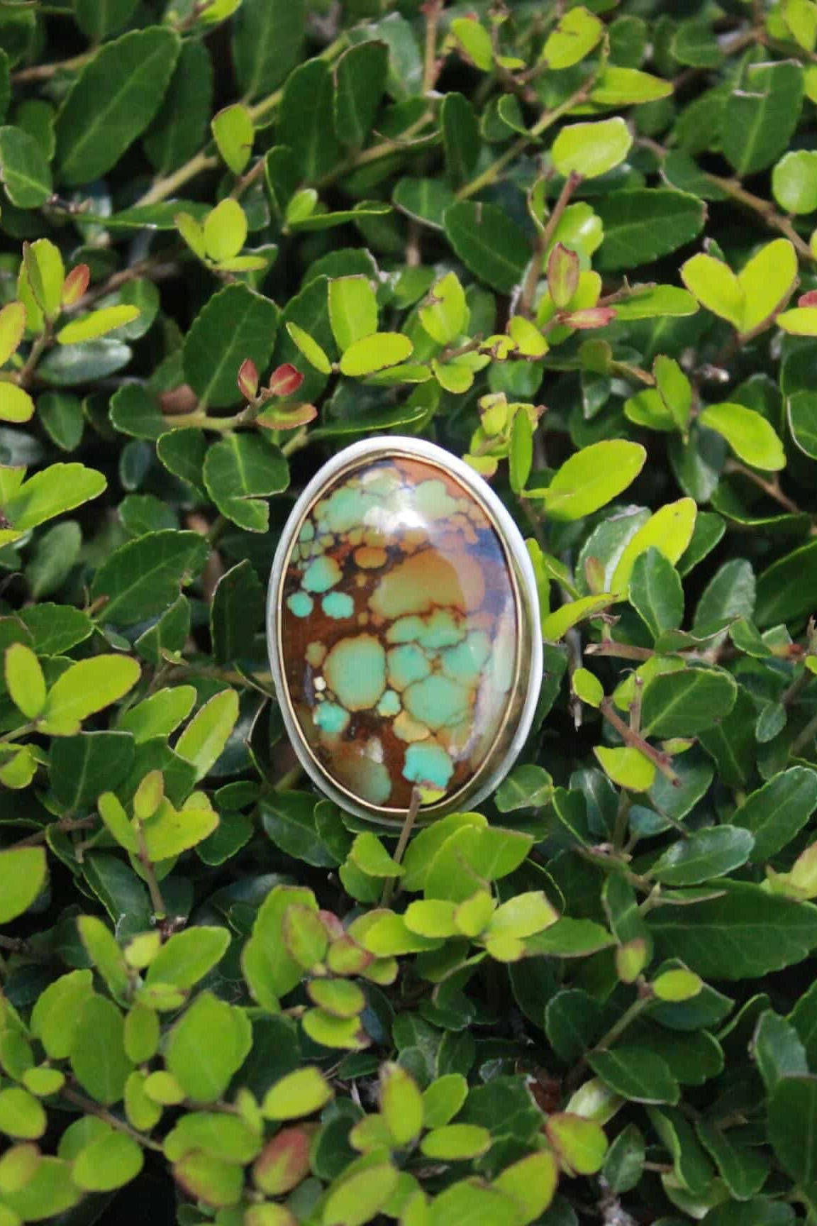Chaos Theory Ring